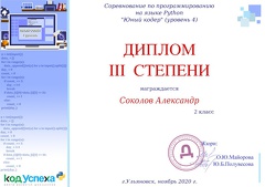 Sokolov-A-KU-2020-11-15-Young-Coder