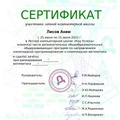 сертификат лкш 28-28
